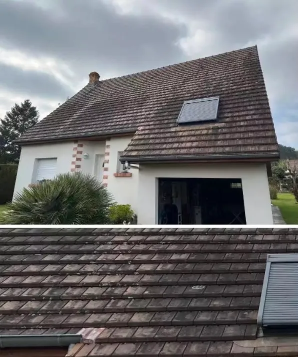 Nettoyage par traitement anti mousse sur maison individuelle à Thionville - avant