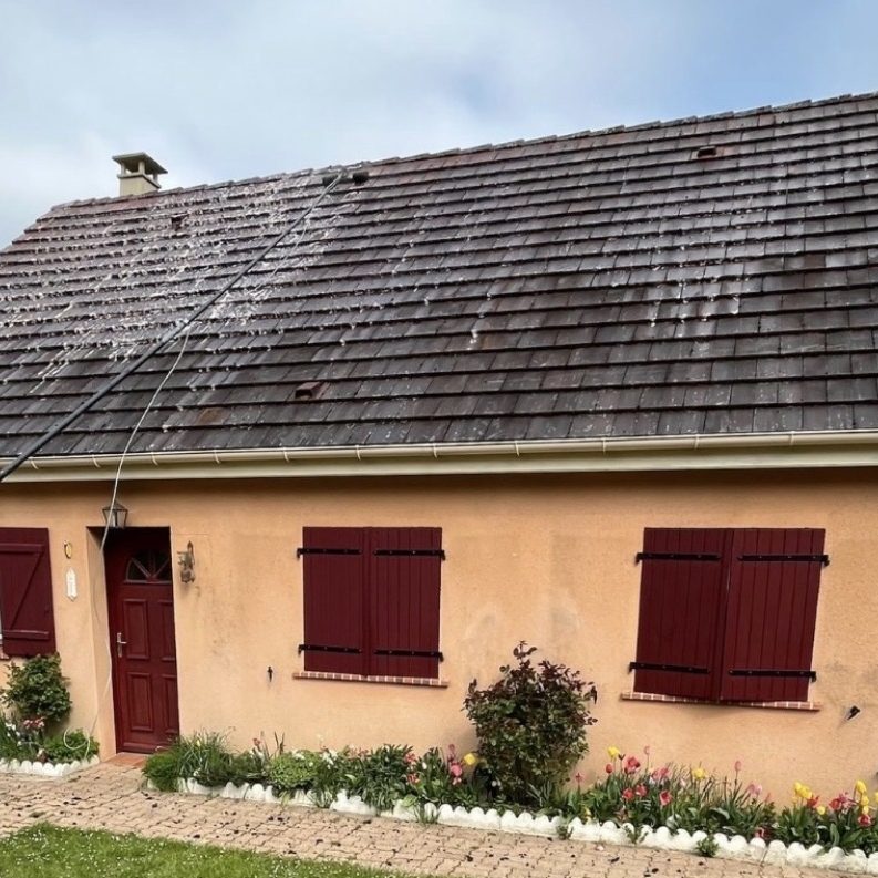 Le démoussage et nettoyage de toiture par drone AVANT