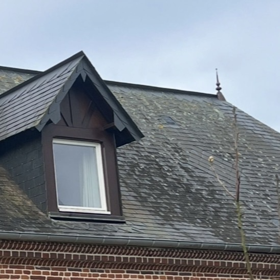 Le démoussage et nettoyage de toiture par drone AVANT